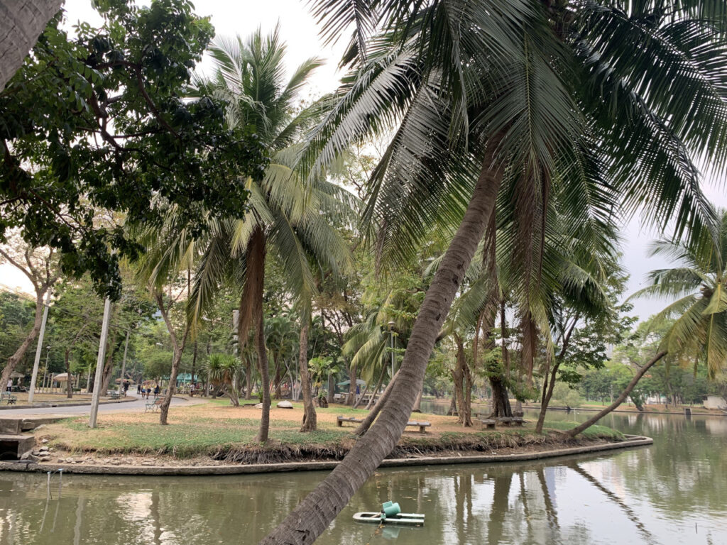 lumphini-park-bangkok