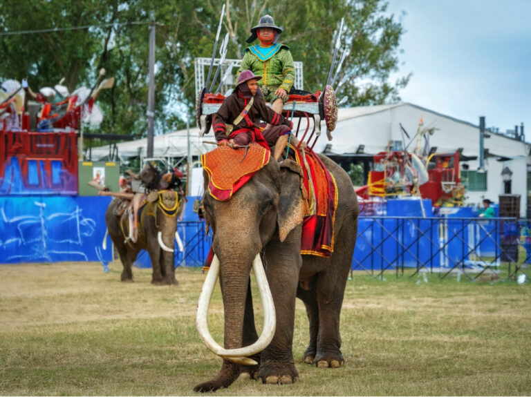 Surin Thailand – Dein Geheimtipp im ursprünglichen Isaan Surin Thailand
